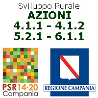 Campania.PSR Azioni 4.1.1 4.1.2 5.2.1 6.1.1