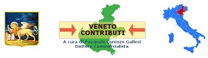 venetocontributi.logo 300