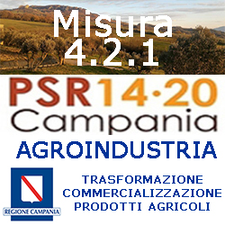 CAMPANIA PSR MISURA 421 TRASFORMAZIONE DEI PRODOTTI AGRICOLI AGROINDUSTRIA