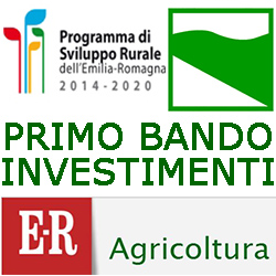 EMILIA ROMAGNA PSR PRIMO BANDO INVESTIMENTI