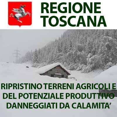 TOSCANA RIPRISTINO TERRENI AGRICOLI DANNEGGIATI